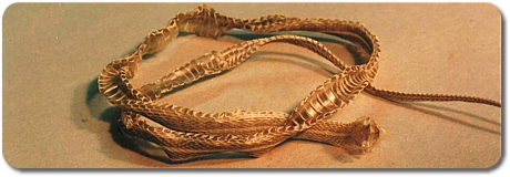 Shed Snake Skin