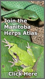 Manitoba Herps Atlas
