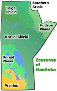 Ecoregions of Manitoba