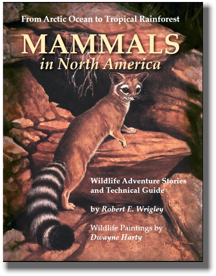 Mammals in North America.