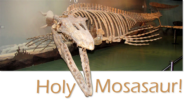 Manitoba Mosasaur