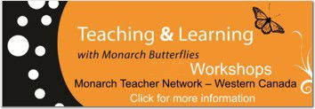 Monarch Teaching Network