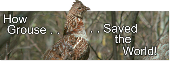 Ruffed Grouse