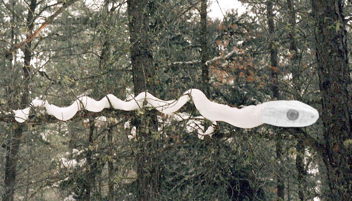 Snow Snakes: Revealed at last!